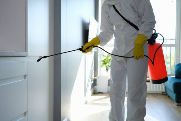Mold Removal and Inspection in Brices Creek, NC
